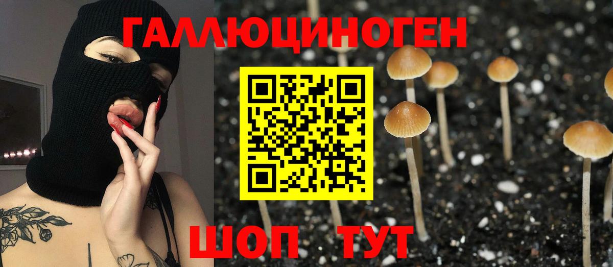 Галлюциногенные грибы Psilocybine cubensis Егорьевск